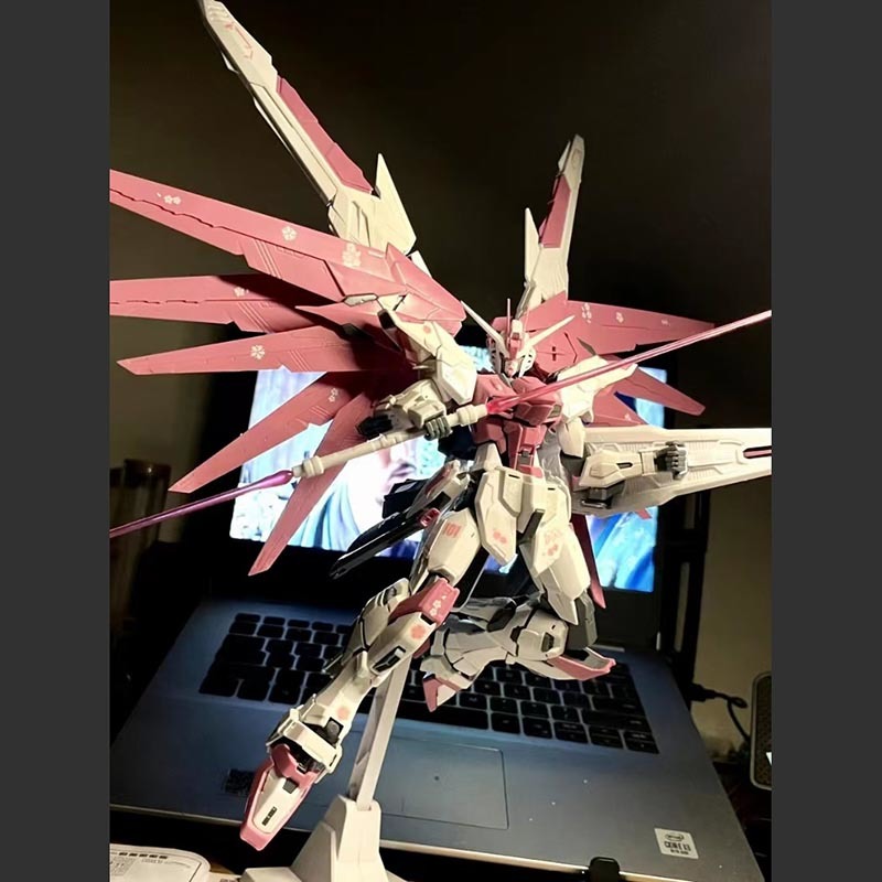 Mg Cherry Blossom Freedom 2.0  – Model Kit Xiaoyaozi Bewertung und Preis